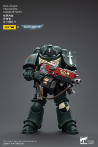 Dark Angels Intercessors Sergeant Rakiel 4