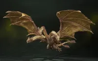 TAMASHII NATIONS King Ghidorah (2019) Special Color Ver. "Godzilla: King of the Monsters", Bandai Spirits S.H.MonsterArts (P-Bandai Exclusive) - Godzilla - photo 1