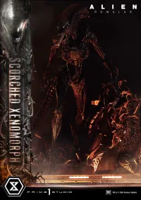 Prime 1 Studio Museum Masterline XL Alien: Romulus Scorched Xenomorph Deluxe Bonus Version - Alien (Movie Franchise) - photo 53