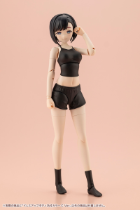 DRESS UP BODY[M] COLOR C Ver. 13