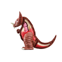 Gomora 11