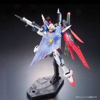 RG 1/144 #11 Destiny Gundam 13
