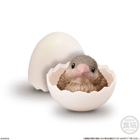 Tenori Baby Friends - Birds  (Box/12) 4