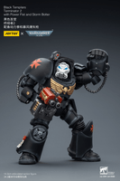BlackTemplars Terminator 2 with Power Fist and Storm Bolter 19