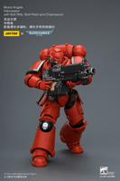 Blood Angels Intercessor with Bolt Rifle, Bolt Pistol and Chainsword 23