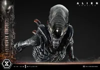 Prime 1 Studio Museum Masterline XL Alien: Romulus Scorched Xenomorph - Alien (Movie Franchise) - photo 40