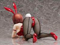 Ryoko Mikado: Bunny Ver. 5