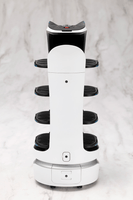 GRANDE SCALE BellaBot 6