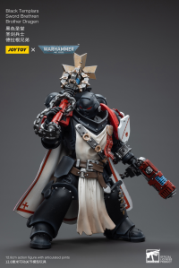 Black Templars Sword Brethren Brother Dragen 5