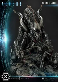 Prime 1 Studio Premium Masterline Aliens (Comics) Tusked Alien Bonus Version - Alien (Movie Franchise) - photo 7