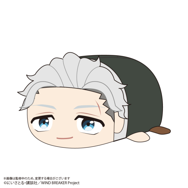 WIND BREAKER POTE KORO MASCOT BIG (D)