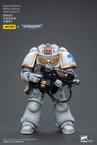 Space Marines White Consuls Intercessors 2 5
