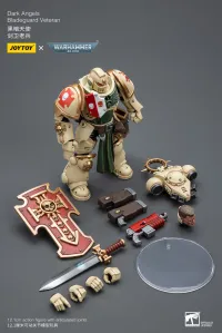 JOYTOY Dark Angels Bladeguard Veteran - Warhammer 40K - photo 4
