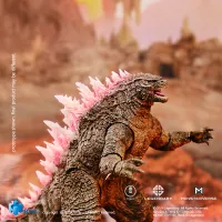 HIYA TOYS Exquisite Basic Series GODXILLA x KONG THE NEW EMPIRE Godzilla Evolved Ver. - Godzilla - photo 6