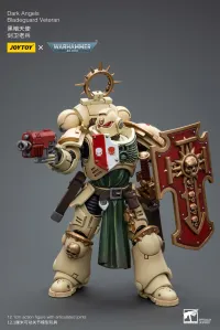 JOYTOY Dark Angels Bladeguard Veteran - Warhammer 40K - photo 7