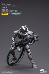 WH40K-Necrons Sautekh Dynasty Immortal with Tesla Carbine 7