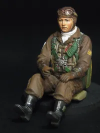 Hasegawa [ST33] 1:32 KAWANISHI N1K2-J SHIDENKAI (GEORGE) - Scale Kits - photo 8