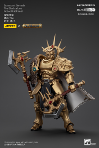 Stormcast Eternals The Blacktalons Neave Blacktalon 5