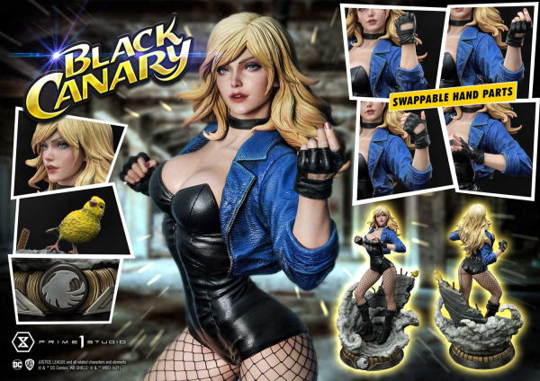 Museum Masterline DC Comics Black Canary