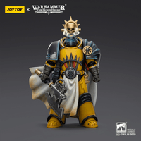 Imperial Fists Librarian Consul with Force Axe and Bolt Pistol 16