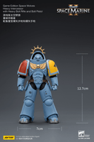 Game Edition Space Wolves Heavy Intercessor with Heavy Bolt Rifle and Bolt Pistol 20