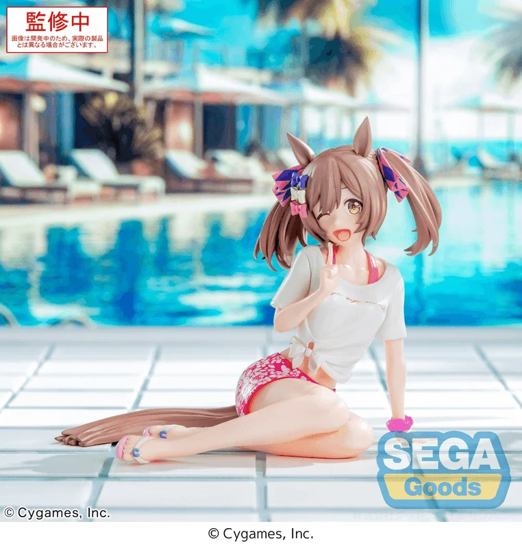 SEGA Yumemirize Umamusume: Pretty Derby Smart Falcon -Gaze on Me!- - Umamusume: Pretty Derby