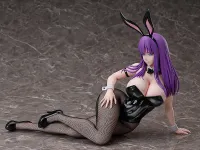 FREEing Mira Suou: Bunny Ver. - World's End Harem - photo 2