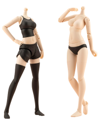 DRESS UP BODY[M] COLOR C Ver. 16