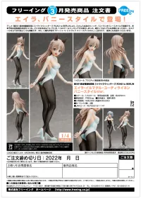FREEing Eila Ilmatar Juutilainen: Bunny Style Ver. - Strike Witches - photo 10