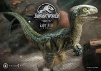 Prime 1 Studio Legacy Museum Collection Jurassic World: Fallen Kingdom (Film) Baby Blue 1/2 scale - Jurassic Park - photo 27