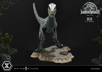 Prime Collectible Figures Jurassic World (Film) Blue 14