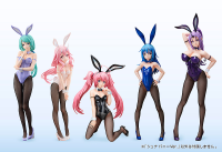Shuna: Bunny Ver. 10