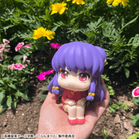 Lookup TV Anime Ranma 1／2  Shampoo 6