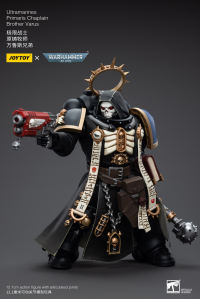 Ultramarines Primaris Chaplain Brother Varus 2