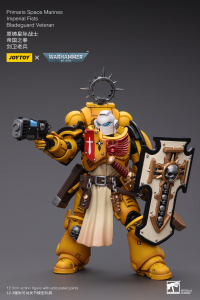 Primaris Space Marines Imperial Fists Bladeguard Veteran 6