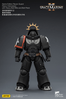 Game Edition Raven Guard Heavy Intercessor with Heavy Bolt Rifle and Bolt Pistol 12