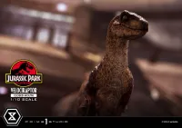 Prime 1 Studio Prime Collectible Figures  Jurassic Park (Film)  Velociraptor  Closed Mouth - Jurassic Park - photo 33