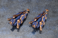 XenoAlma Trickle Dekapodia 19