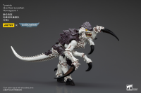 Tyranids Hive Fleet Leviathan Hormagaunt 1 1