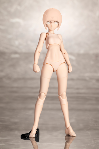 B1R-M CHASSIS KIT SKIN COLOR B 4