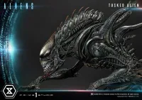 Prime 1 Studio Premium Masterline Aliens (Comics) Tusked Alien Bonus Version - Alien (Movie Franchise) - photo 40