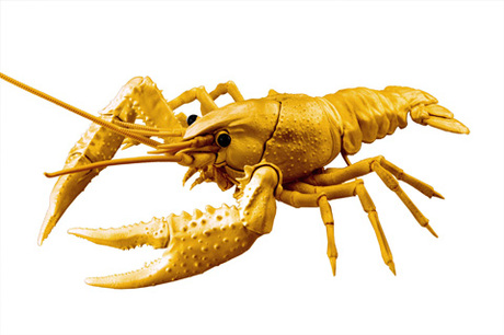 [FI No.24 EX-5]  Biology Edition Crayfish (Gold)