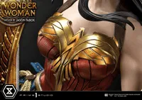 Prime 1 Studio Museum Masterline Wonder Woman (Comics) Wonder Woman versus Hydra (Concept Design By Jason Fabok) EX Bonus Version - DC Comics - photo 9