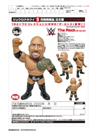 16 directions 16d Collection 021: WWE The Rock(re-order) - WWE - photo 8