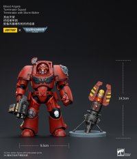 Blood Angels Terminator Squad Terminator with Storm Bolter 8