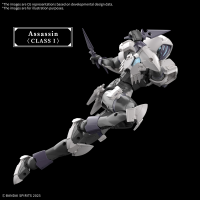 30MF ROSAN ASSASSIN 8