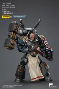 JOYTOY Grey Knights Interceptor Squad Interceptor Justicar - Warhammer 40K - photo 1