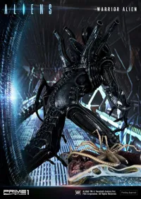 Prime 1 Studio Premium Masterline Aliens (Comics) Warrior Alien DX Bonus Version - Alien (Movie Franchise) - photo 114