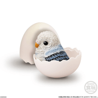 Tenori Baby Friends - Birds  (Box/12) 2