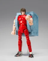 TAMASHII NATIONS SAINT CLOTH SERIES PEGASUS CLOTH [FIRST BRONZE CLOTH] -CLOTH BOX LIMITED EDITION- - Saint Seiya - photo 4